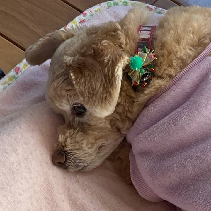 B60c76c8 54f3 4ff0 bb75 904d51da2a14 1639871566312