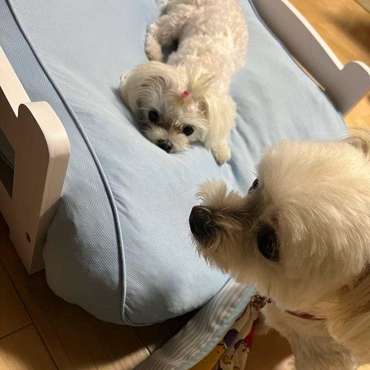 B60cf7f8 f3a0 47e5 b58f b88b0df48c13 1727339526648