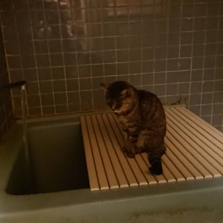 B60d04c3 2f0f 4585 9dbd 1187a5983781 1574758788736