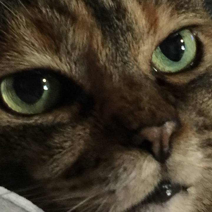 B60d15a2 e3c4 4225 a592 6e19b159e5d9 1535745846189