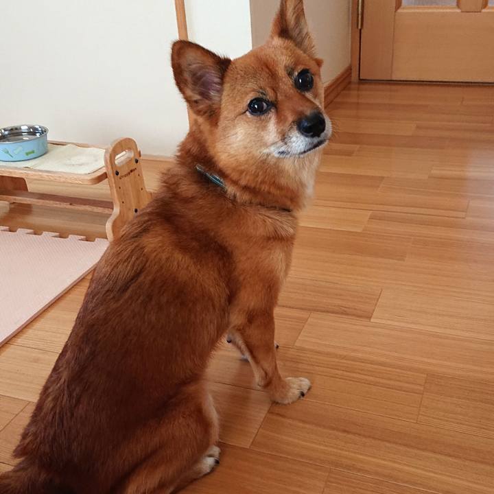 B60d15e7 47fe 4c33 8873 424470c30107 1565700526946