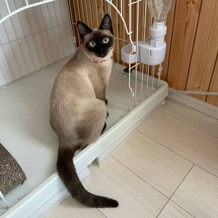 B60d377e c5e9 4132 8d00 54f1aba09d6d 1712439109582