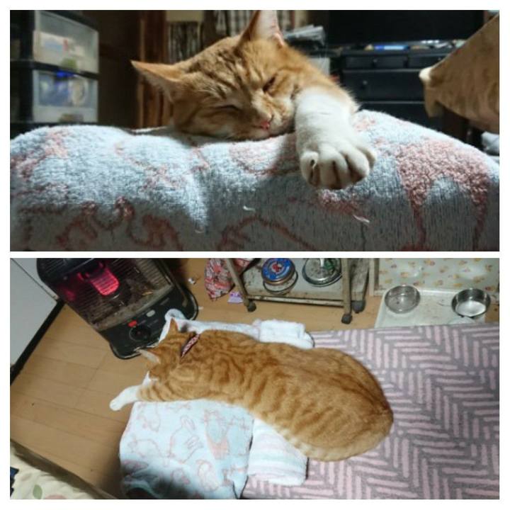 B60d4869 5e8d 4aea a927 65e2460c2492 1605300061118