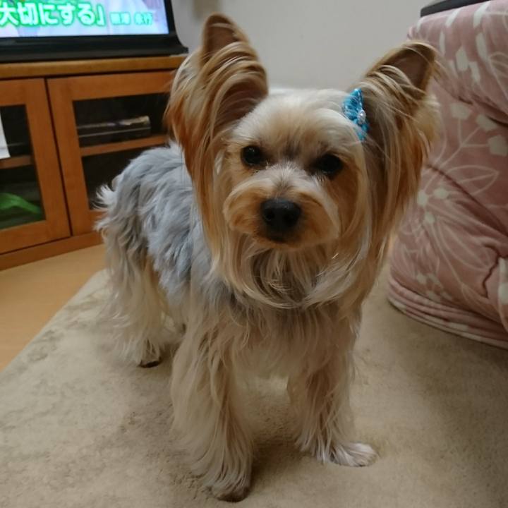 B60d60c4 0257 4428 8733 64cbf2829cc9 1548226451450