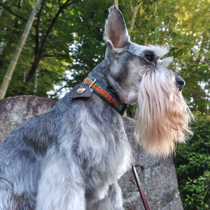 B60d6789 f9f3 43d7 854f 06195445a2a7 1759209048688