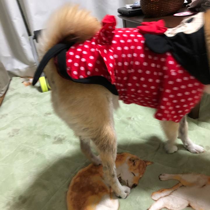 B60d7e71 0293 4430 882f 99dd5e02c0c4 1576140356969