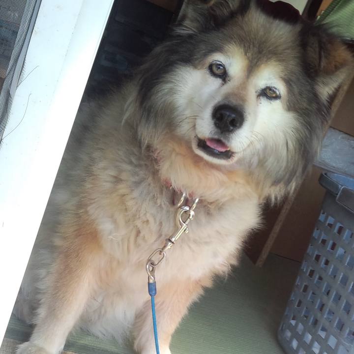 B60d8a73 4120 40e8 9a48 364b00320cfb 1595216618807