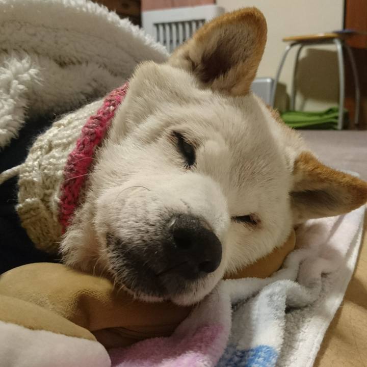 B60dcff6 f43a 4fff a878 ec250e4b7b88 1519088435455