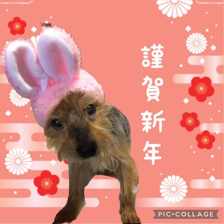 B60dde21 dbfc 437a 843b 18ebe4716185 1672528754787