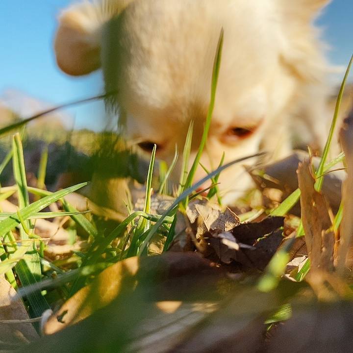 B60de330 27b8 4311 91de daf3b8e2bce5 1611043899039