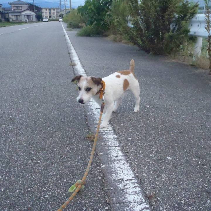 B60e0a9b 4617 46ba 8310 f901185bc7f8 1569150827997