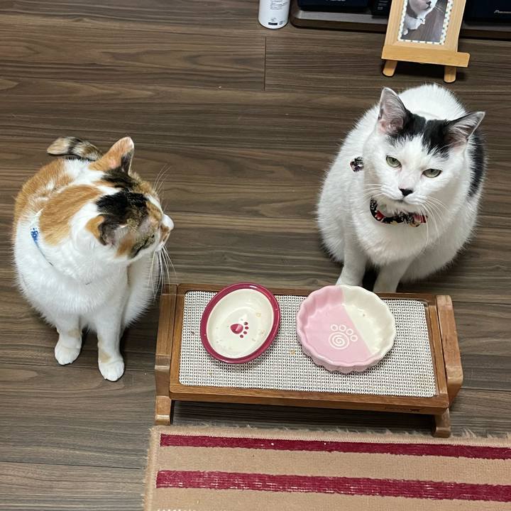 B60e4d61 b543 4e84 9c57 e0ffa2bf6b11 1708002021038