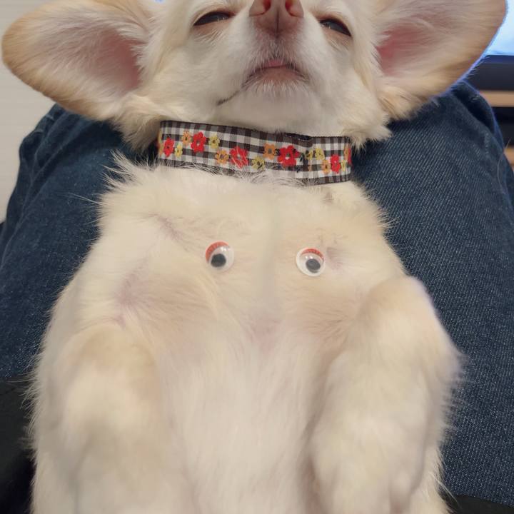 B60e8c19 e581 45cc 9b51 759fe57ea235 1724489590919