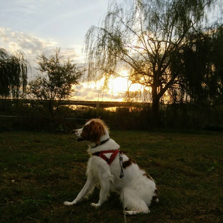 B60e9a71 746f 403f bca7 f890fa3a04f5 1539506670887