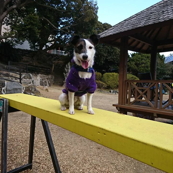 B60eafd7 1da1 418e b266 47566017df0e 1518932549162