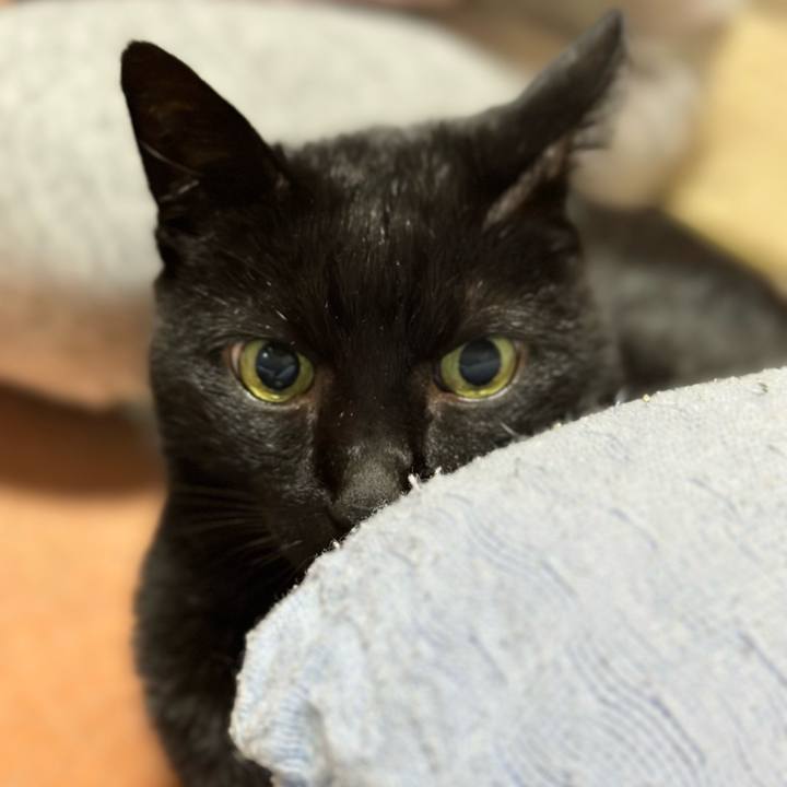 B60f0c16 db9c 4915 9c3b 6f59200e593f 1670726322985