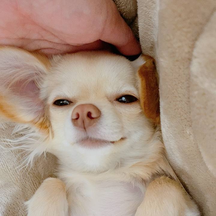 B60f43d9 b584 4921 bbd2 5dbef985ae31 1612431509604