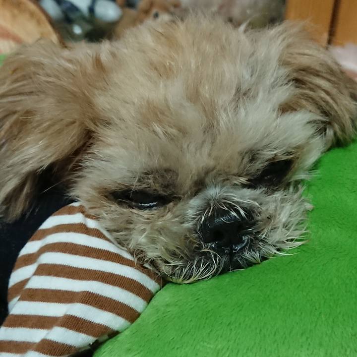 B60f4692 64af 469d 9fbc 0e5773c85cbd 1524380408611