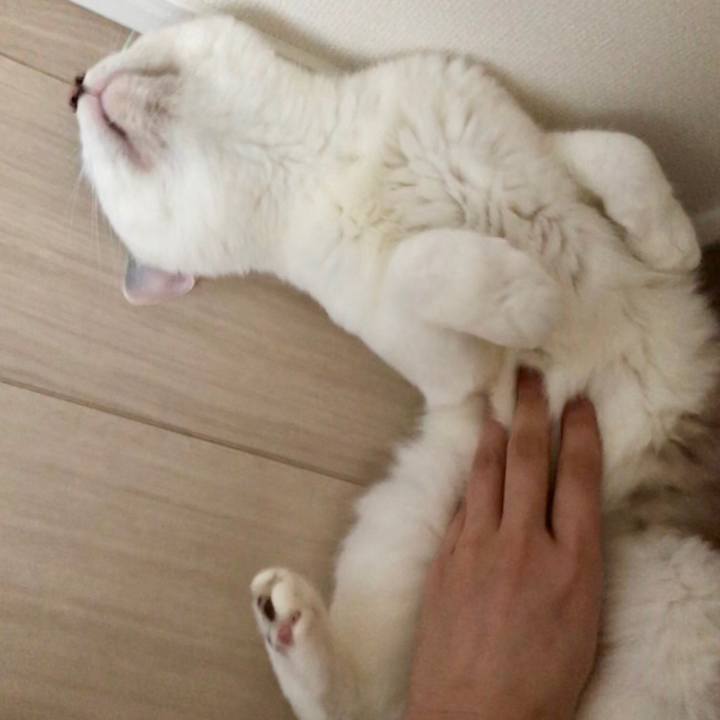 B60faf33 d0d7 4c8b b368 a38fdd00a404 1525820564810