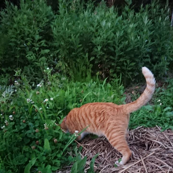 B60fbdd6 79bf 414a 8a9e 364783b5e246 1564913965978