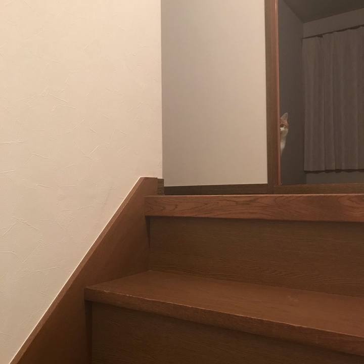 B60fc462 08b1 4ec6 97de 9acf63724a7c 1622806746224