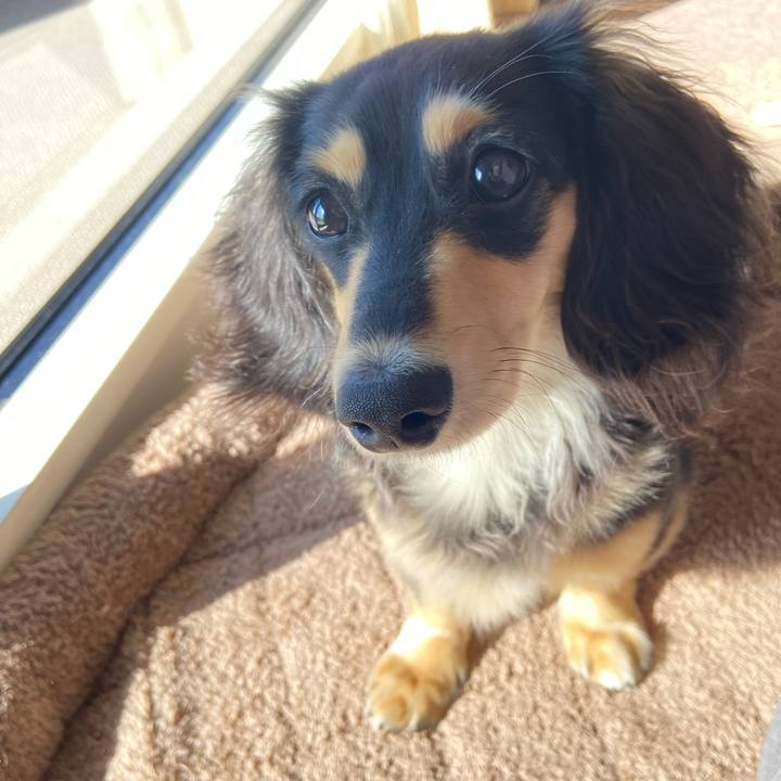 B60ff6fc 419a 4245 bb4a 5b738e0440dd 1676852618236