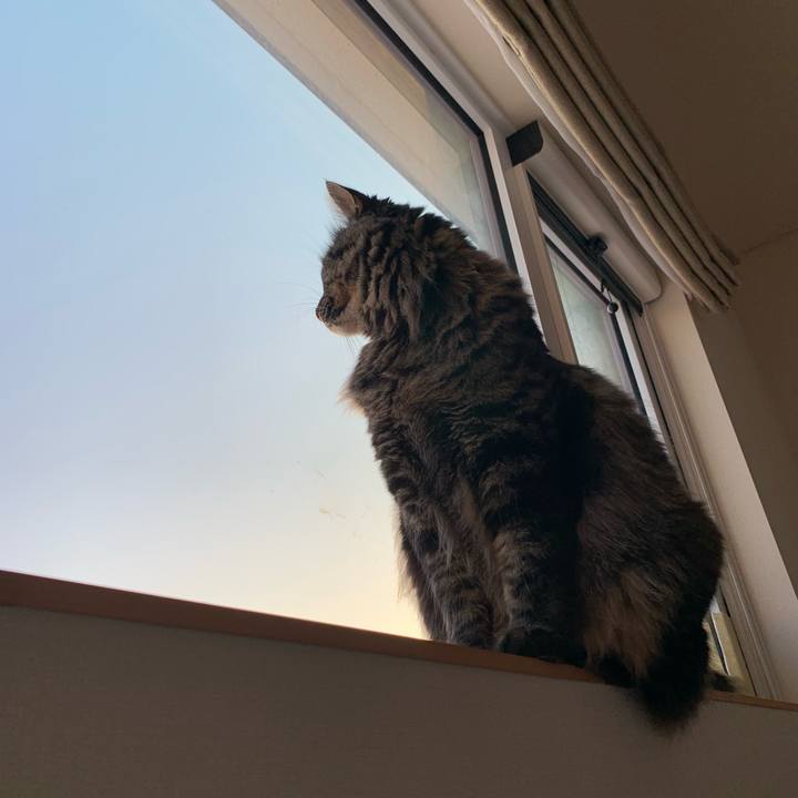 B6100681 bdc3 419f 9d75 2d78de8a1331 1678915774011