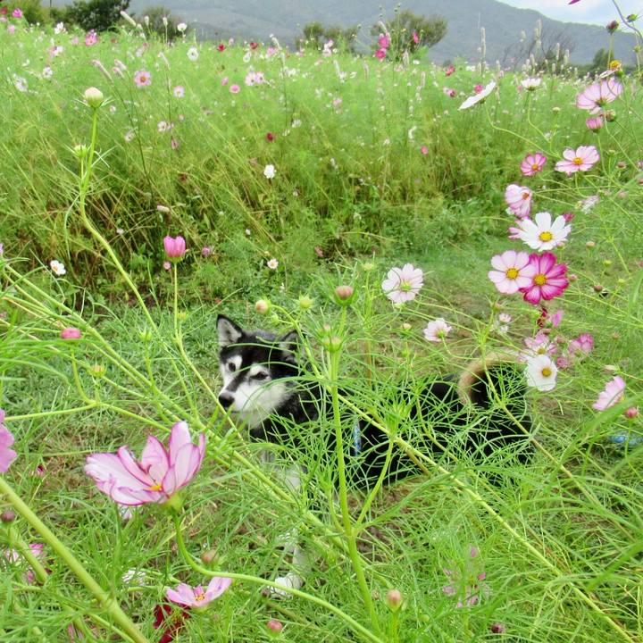 B61031e8 1510 4f7f b2e8 0046c5880dc2 1664263592075