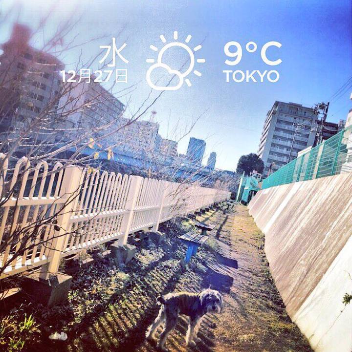 B6106108 2bac 4a5b 8145 57a610bcfb7d 1514340325629