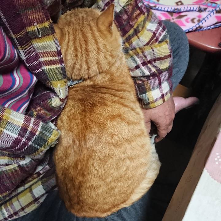 B610834a a37b 4902 98d8 10db91e9f6db 1575752929316