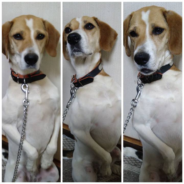 B61099a6 c94a 4403 ab16 f6d3c42aa563 1624169899457