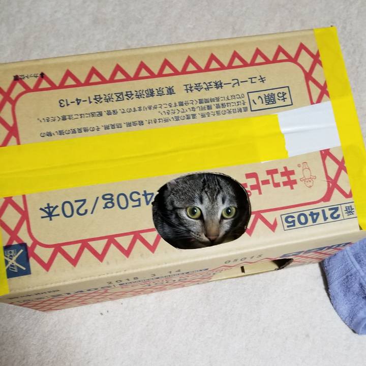 B610aeb0 b3a7 4059 9403 780f2a685cc4 1682435864283