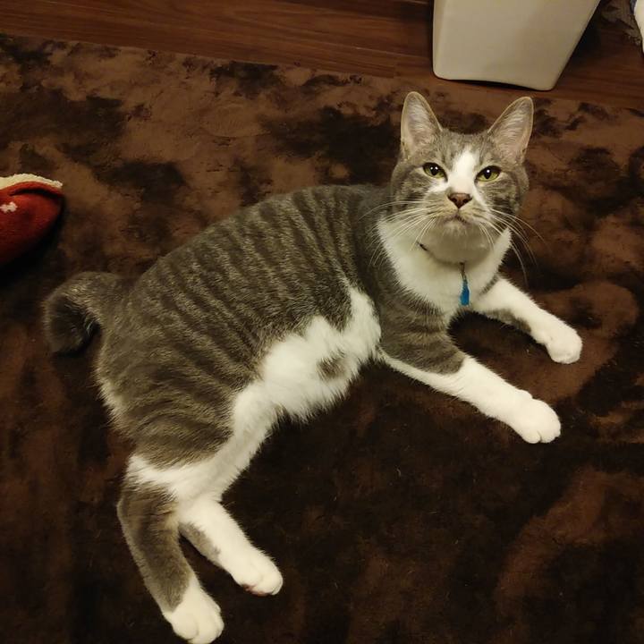 B610d6bd 793a 4dfb a8d8 c7535531abe4 1583935823510