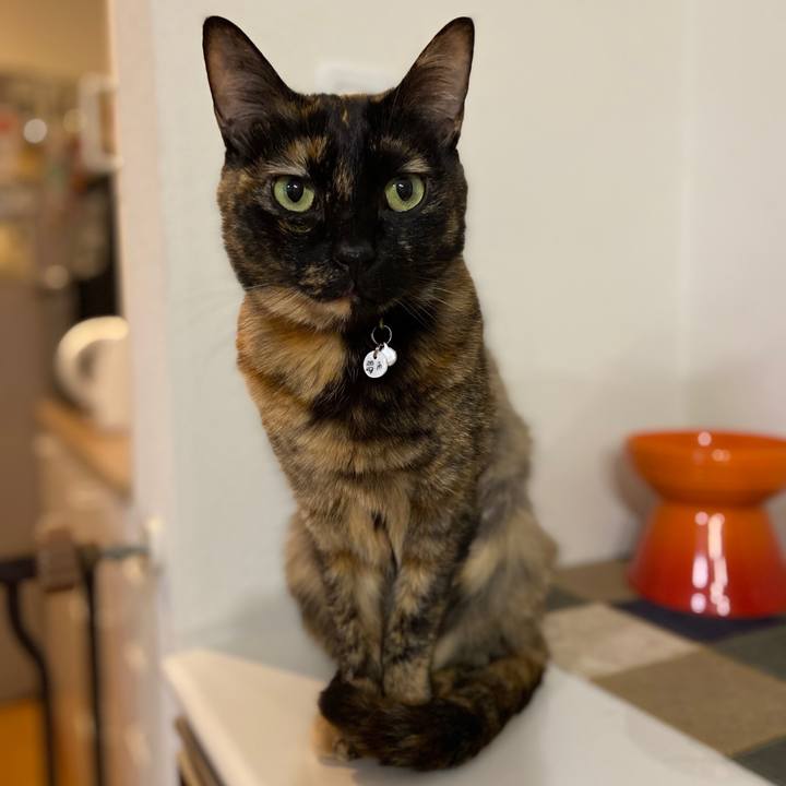 B610e40e a583 4a29 a2a9 4e7a27f87192 1614686602559