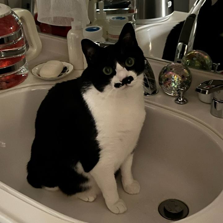 B610f48f 5f26 4c89 bb90 3fc7eca21821 1772144370747