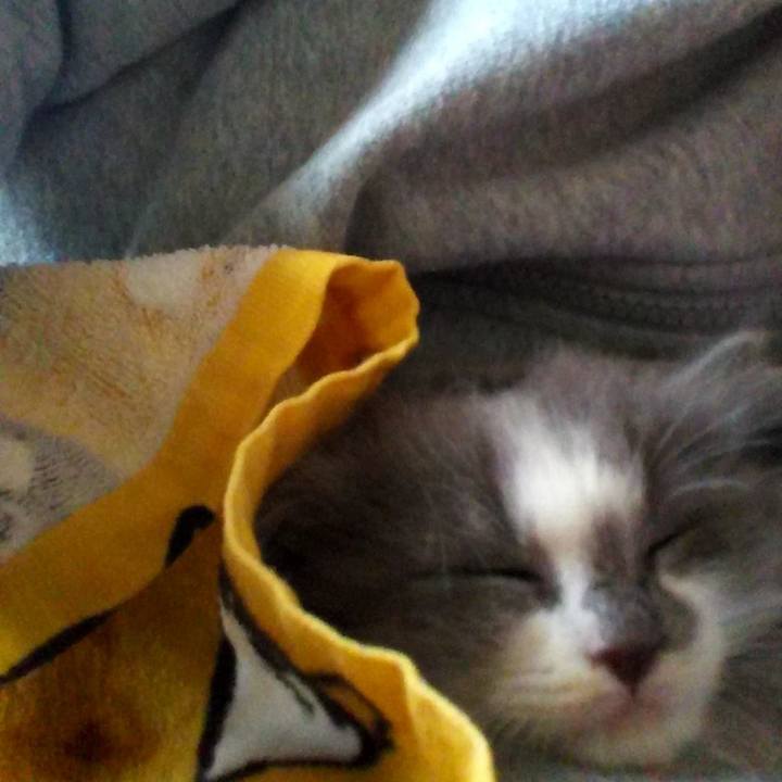 B6114a76 b865 4b81 a563 9dbfd0f9dacb 1598777767838