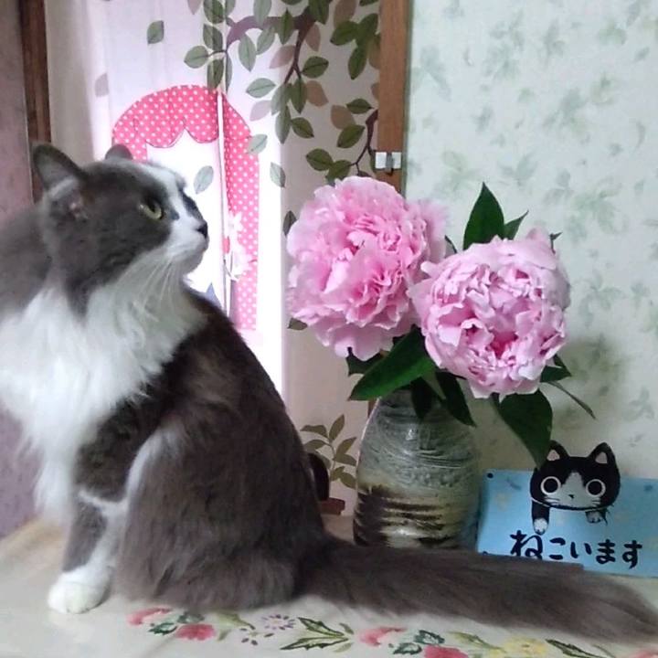 B6114bac 507e 47eb abd4 1a9bb657c8ca 1652343711977