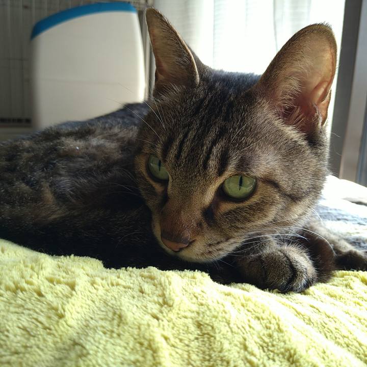 B611574f eead 471f ba40 563a10433a19 1745730755143