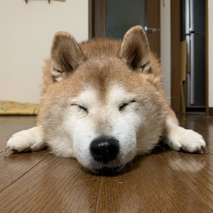 B6116b6f 8346 4ea4 b980 14d3b2c27bd7 1600176614540