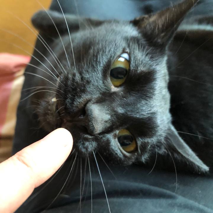 B6118ec8 997b 4387 9dc5 ea17a57ab1af 1668898456632