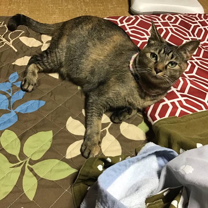 B611b02a 07d6 4d03 ba96 c54a3aa82662 1616233532937