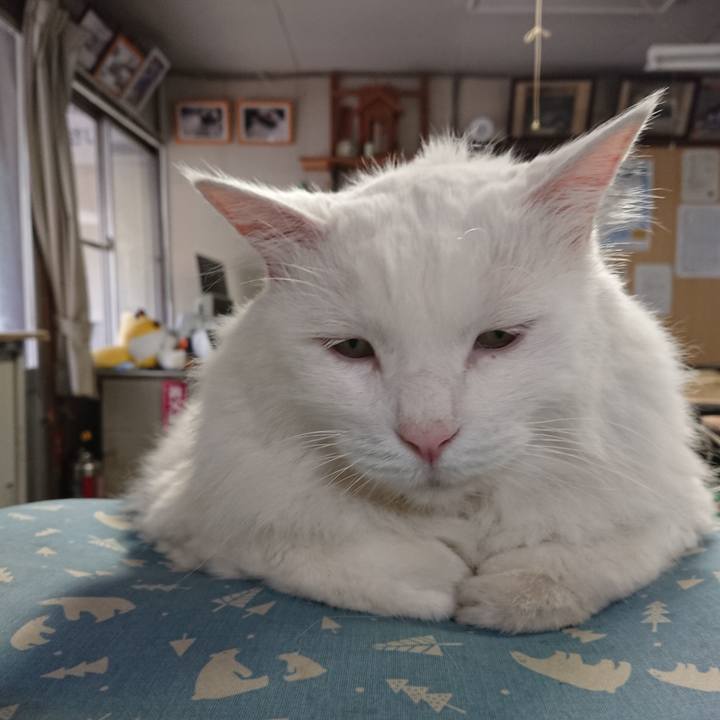 B611c2b8 c091 4923 ba79 b64d9da74907 1567981656772