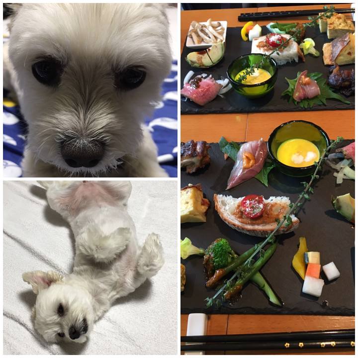 B611de20 af5d 41e1 80c9 e44a2a7bf74d 1561205991061