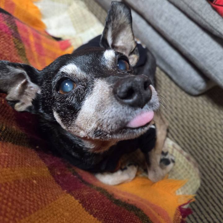 B611f6ee 914a 4cc6 985d 7a40b02d3635 1771212944582