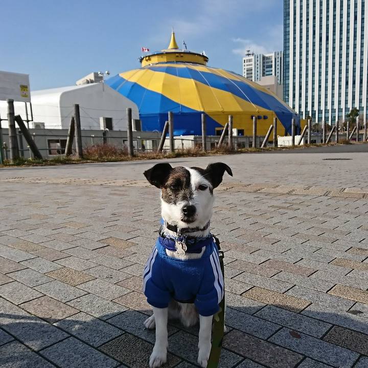 B611fb89 4ba9 4b02 8108 d5cf9b5107fb 1516079042801