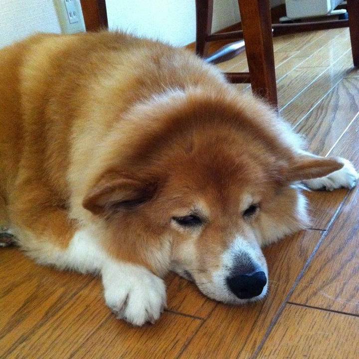 B612081c 94cd 4d09 b339 3f94957b945e 1613198858608