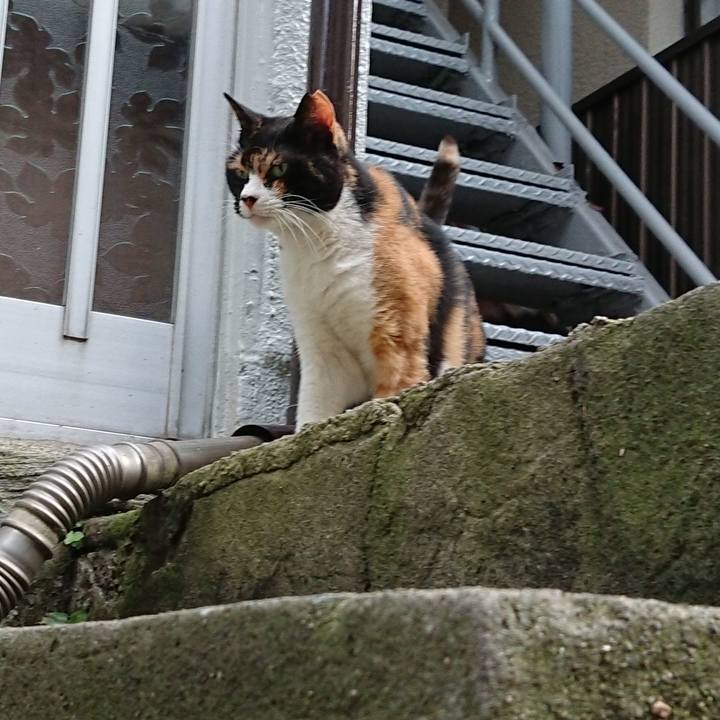 B6121e1c b875 4246 90ee 034f6aae16b7 1689851653977