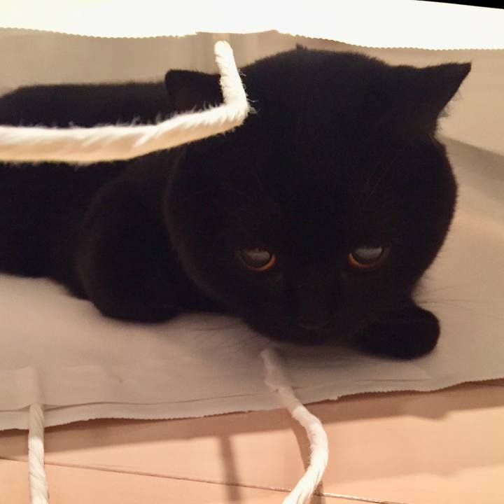 B6124dd3 2917 4638 a365 199c0f500413 1547215083190