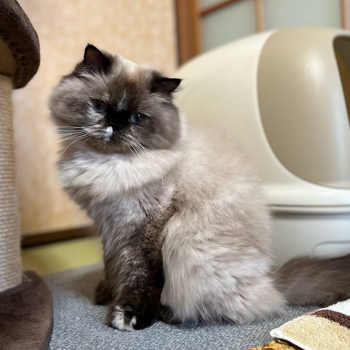 B6126975 f5f4 49f5 9adb 875260ba3b74 1667095687288