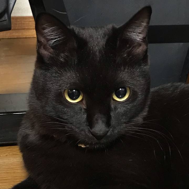 B61279a0 9957 4c7b 809d 1aebae4935ec 1583235596832